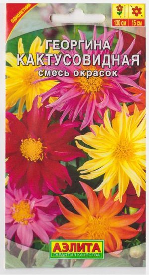 Георгина Кактусовидная Смесь (Код: 6554)