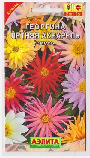 Георгина Летняя акварель (Код: 11359)