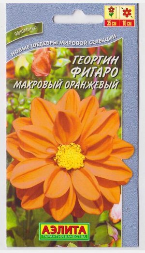Георгина Фигаро оранжевая махровая (Код: 10123)