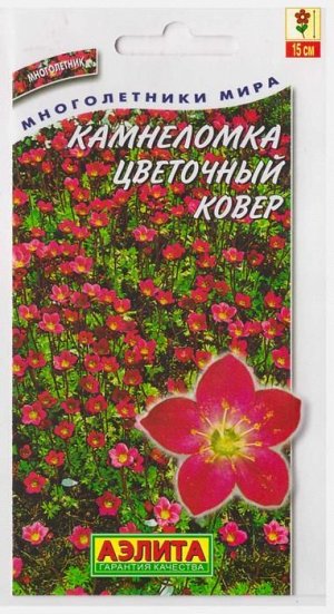 Камнеломка Цветочный ковер (Код: 14426)
