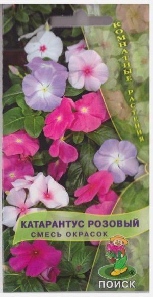 Катарантус Розовый смесь окрасок (Код: 4474)