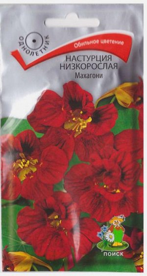Настурция Махагони низкорослая (Код: 1948)