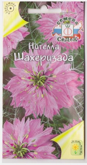 Нигелла Шахерезада