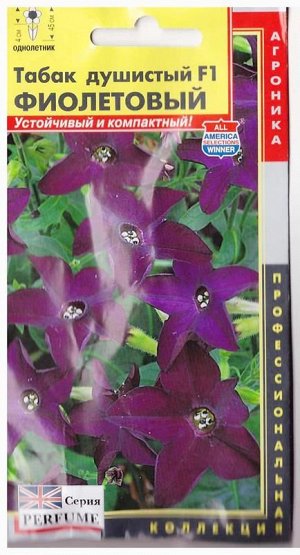 Табак душистый Фиолетовый (Код: 74710)