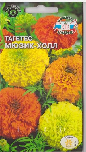 Тагетис Мюзик-Холл (Код: 71206)