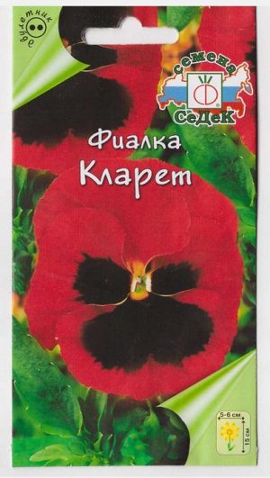 Фиалка Кларет (Код: 72043)