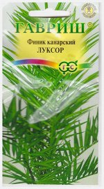Финик канарский Луксор (Код: 67242)