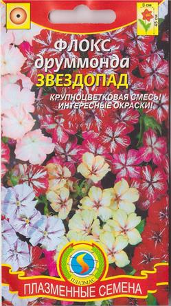 Флокс Звездопад смесь (Код: 81735)