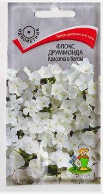 Флокс Красотка в белом (Код: 65739)