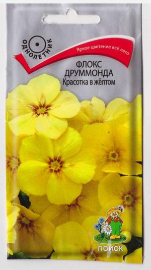 Флокс Красотка в желтом (Код: 65740)