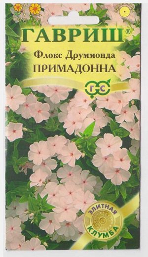 Флокс Примадонна (Код: 13949)