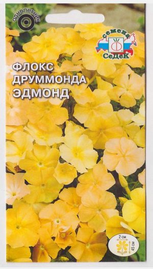 Флокс Эдмонд (Код: 72047)