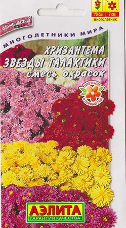 Хризантема Звезды галактики (Код: 73361)