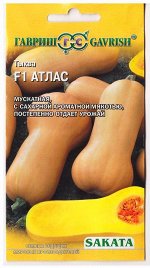 Тыква Атлас F1 (Код: 77699)