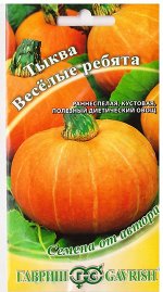 Тыква Веселые Ребята (Код: 77701)