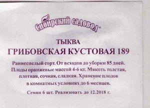 Тыква Грибовская кустовая 189 (Код: 2486)