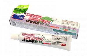 "Fudo Kagaku" "Рэкурэн" Зубная паста для защиты от кариеса и зубного камня от