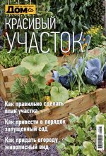 печатное издание