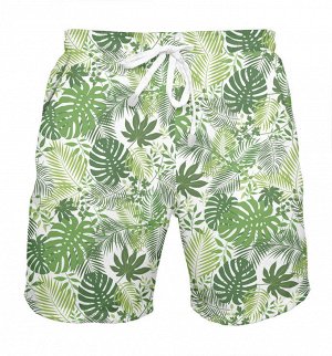 Мужские шорты
 Зелень
 , Коллекция Пляж