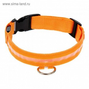 Ошейник с подсветкой, зарядка от USB, до 38 см, 3 режима свечения, оранжевый