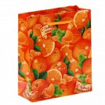 Пакет ламинат вертикальный &quot;Мандарины&quot;,18 х23 х 8 см 1299809