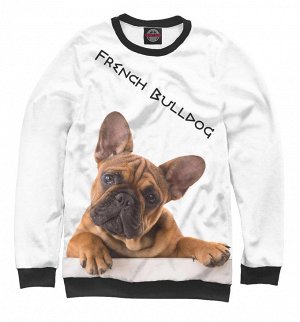 Свитшот для мальчиков
 French Bulldog
 , Коллекция Собаки