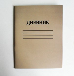 Дневник Дневник школьный УЧЕНИЧЕСКИЙ, однотонная картонная обложка (серый)