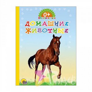 Книга для малышей "Обо всём на свете. Домашние животные", Похожие товары