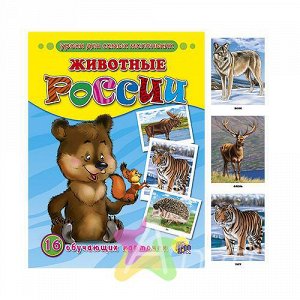 Обучающие карточки для детей "Животные России", Похожие товары