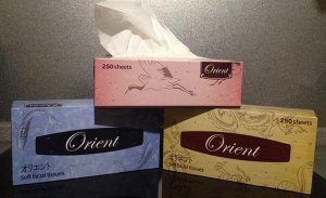 Салфетки бумажные Orient двухслойные 250 листов