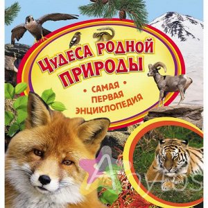 Энциклопедия для детей "Чудеса России (природные)", Похожие товары