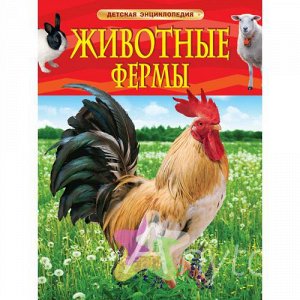 Детская энциклопедия "Животные фермы", Похожие товары