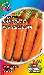 Морковь Нантская улучшенная 2 г ХИТ х3