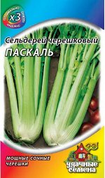 Сельдерей черешковый Паскаль 0,3 г ХИТ х3