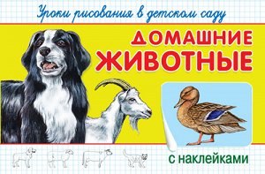 (Накл) "Уроки рисования в детском саду с наклейками". Домашние животные (1801)