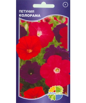 Петуния 0,1 гр	в упаковке
Однолетник, h=25см, диаметр 4-5см.смесь.
Популярное, обильно и продолжительно цветущее растение, многоцветковая гибридная форма петунии. Кустик низкий, компактный высотой 25 