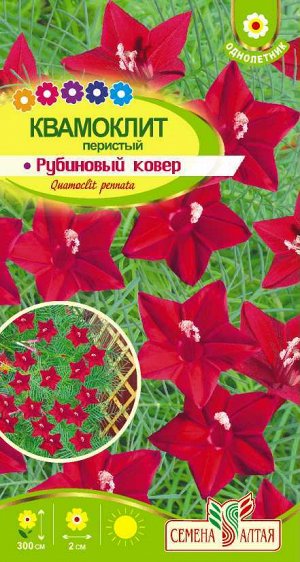 Цветы Квамоклит Рубиновый ковер перистый/Сем Алт/цп 0,2 гр. Вьющиеся растения