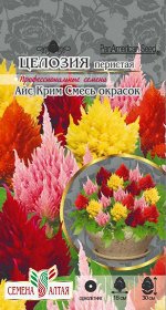 Цветы Целозия Айс Крим Смесь окрасок перистая/Сем Алт/цп 10 шт.