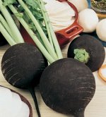 Редька Зимняя круглая чёрная 25,0 г