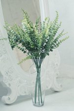 Эвкалипт baby blue