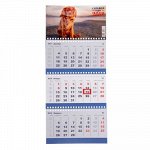 Календарь квартальный, трио &quot;Символ года - 2018 год&quot; 20х47см   2355734