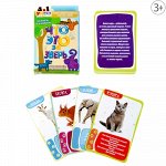 Игра развивающая &quot;Что это за зверь?&quot;