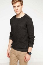 Sweat Shirt