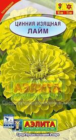 Цинния Лайм