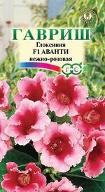 Глоксиния Аванти нежно-розовая