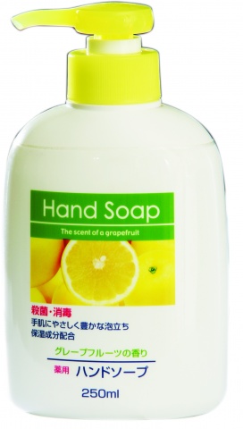 DAIICHI HAND SOAP Увлажняющее жидкое мыло для рук (аромат лимона) 250мл