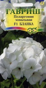 Пеларгония Бланка F1 зональная* 4 шт.