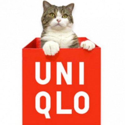 UNIQLO одежда из Японии  Для взрослых и детей -51