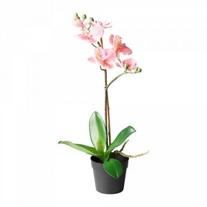 70292298 ФЕЙКА
Искусственное растение в горшке, Орхидея розовый