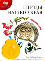 Диафильм &quot;Птицы нашего края&quot;  В.Храбрый